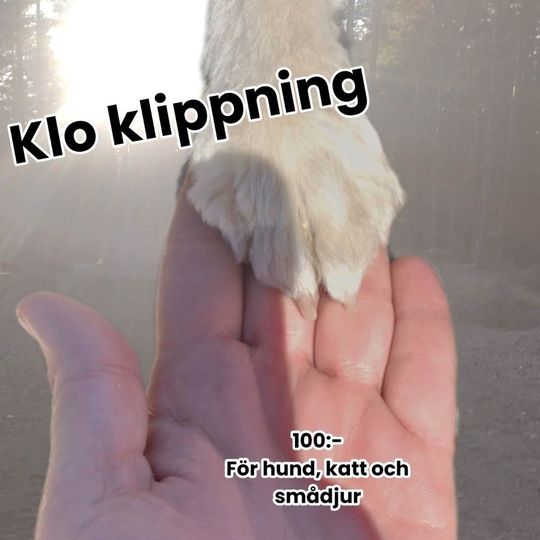 Kloklippning