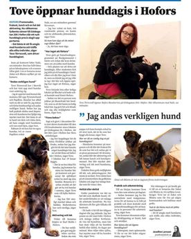 artikel om hunddagis i hofors